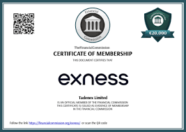 Download Exness MT4 Android Trader 0